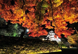 ライトアップされた鶴ヶ城と紅葉の幻想的な美しさ